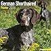 German Shorthaired Pointer Calendar - Only Dog Breed German Shorthaired Pointer Calendar - 2016 Wall calendars - Dog Calendars - Monthly Wall Calendar by Avonside