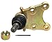 ACDelco Advantage 46D2161A Front Lower Suspension Ball Joint Assembly