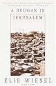 A Beggar in Jerusalem: A Novel