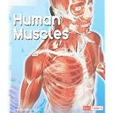 Human Muscles (Fact Finders: Anatomy Class)