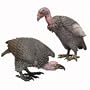 Vulture - Large Foam Crouching