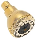 Danze D411012PBV 3-Inch Multi-Function Showerhead, Polished Brass PVD