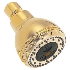 Danze D411012PBV 3-Inch Multi-Function Showerhead, Polished Brass PVD