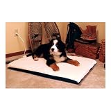 K&H Manufacturing 17 x 27 Orthopedic Thermo-Bed with Blue Bottom