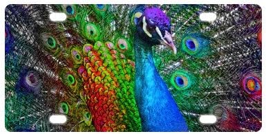Psychedelic Peacock Pattern Car Accessories Metal License Plate Frame (New) 12" X 6"
