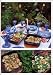 �٥˥����Υϡ����ؤ� �� ���ԡ��縶�θ�̱����餷 Venetia's Ohara Herb Diary