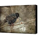 Let's Do Lunch Canvas Print / Canvas Art - Artist Lois Bryan