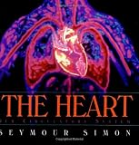The Heart: Our Circulatory System