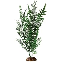 Aqueon 09765 Fern Aquarium Plant, 14-Inch
