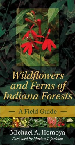 wildflowers and ferns of indiana forests a field guide indiana natural science