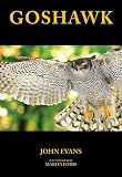 Goshawk