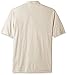 Van Heusen Men's Big and Tall Short Sleeve Popcorn Polo