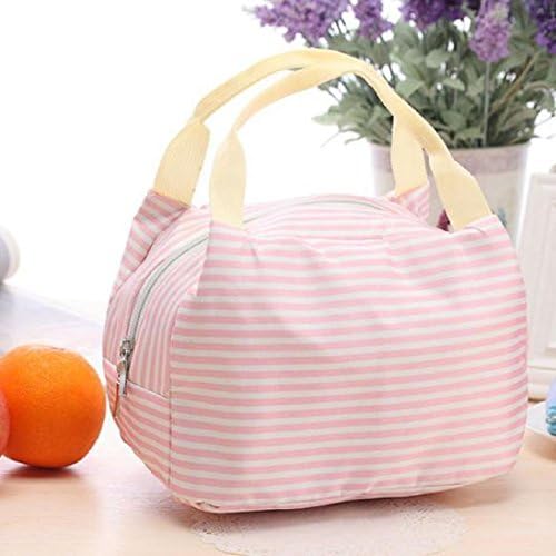 Waterproof Picnic Lunch Bag Tote Insulated Cooler Travel Zipper Organizer Box (!C)