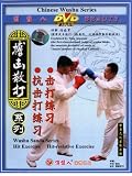 Hitting and Anti-hitting Exercises in Combat