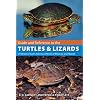 Guide and Reference to the Turtles and Lizards of Western North America (North of Mexico) and Hawaii (Guide & Reference)