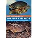 Guide and Reference to the Turtles and Lizards of Western North America (North of Mexico) and Hawaii (Guide & Reference)