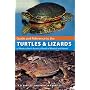 Guide and Reference to the Turtles and Lizards of Western North America (North of Mexico) and Hawaii (Guide & Reference)