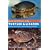 Guide and Reference to the Turtles and Lizards of Western North America (North of Mexico) and Hawaii (Guide & Reference)