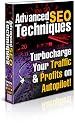 "Advanced S.E.O. Techniques"- Turbocharge Your Traffic & Profits on Autopilot!