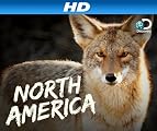 North America [HD]: The Savage Edge [HD]
