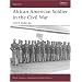 African American Soldier in the American Civil War: USCT 1862-66 (Warrior)