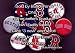 Set of 10 Boston Red Sox Pins 1.25