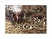 Calling Hounds Out of Cover by Heywood Hardy poster print,20 in. x 15.2 in.