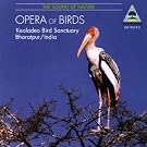 Opera of Birds (Pannke)