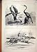 1880 Frigate Bird Darters City Suburban Horse Race