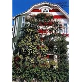 商品の詳細