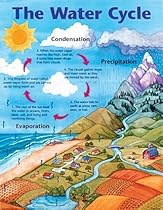The Water Cycle Cheap Chart (Cheap Charts)
