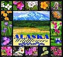 Alaska Wildflowers Coverlet