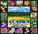 Alaska Wildflowers Coverlet