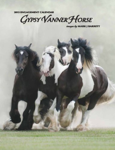 Gypsy Vanner Horse Engagement Calendar