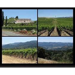 Scenic Napa Valley - Sights & Sounds
