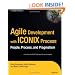 Agile Development with ICONIX Process: People, Process, and Pragmatism
