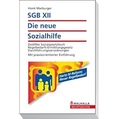 SGB XII - Die neue Sozialhilfe: Zw�lftes Sozialgesetzbuch. Regelbedarfs-Ermittlungsgesetz. Durchf�hrungsverordnungen. Mit praxisorientierter Einf�hrung