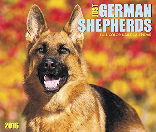 2016 Just German Shepherds  Box Calendar