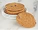 David's Cookies Thin & Crispy Chocolate Chip Cookies 13 Oz Gift Tin