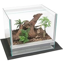 WILD KUWARIUM(ワイルドクワリウム) 昆虫鑑賞飼育オールガラスケージスターターセット メンテナンスキット付 WK-05 TK(R2)M <35075>