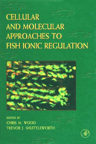 Cellular and Molecular Approaches to Fish Ionic Regulation: 14 (Fish Physiology)