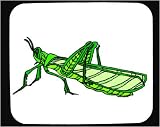 Decorated Mouse Pad with green, insect, wings, grasshopper, antennae