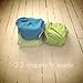 Logan + Lenora Medium Wet Bag - Cloth Diaper Wet Bag - Beach, Pool, Gym Bag for Swimsuits or Wet Clothes - Made in USA - Waterproof (Breezy Athenian)