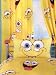 Kitchen & Housewares : CharacterWorld Spongebob Expressions Curtains Including Tie Backs, 72 Inch
