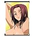 Code Geass: Lelouch of the Rebellion Anime Sexy Kallen Fabric Wall Scroll Poster (31