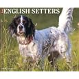 Just English Setters 2009 Calendar (Just)