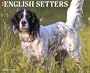 Just English Setters Calendar