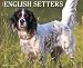 Book English Setters 2009 Calendar (Just)