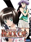 Black Cat Starter Set