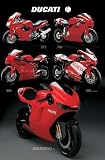 Ducati (5 Bikes) Art Poster Print - 24
